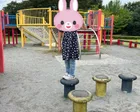 大型の遊具で遊べますが、片方が26...