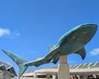 初めて行ったので分からないことだら...