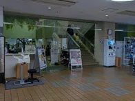 日曜日の朝9時にきました。