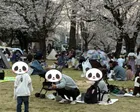 広々とした芝生が魅力の、子ども連れ...
