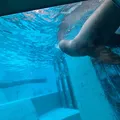 イルカーショーでは、パチパチしながら