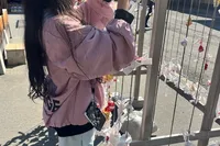 盛岡八幡宮