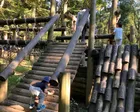 アスレチックや虫がいるため、虫取り...
