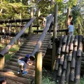 アスレチックや虫がいるため、虫取り...