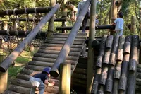 アスレチックや虫がいるため、虫取り...