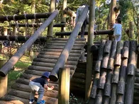 アスレチックや虫がいるため、虫取り...