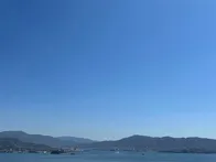 桜と海がとてもいいです。