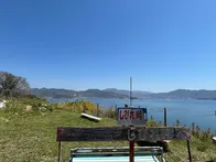 桜と海がとてもいいです。