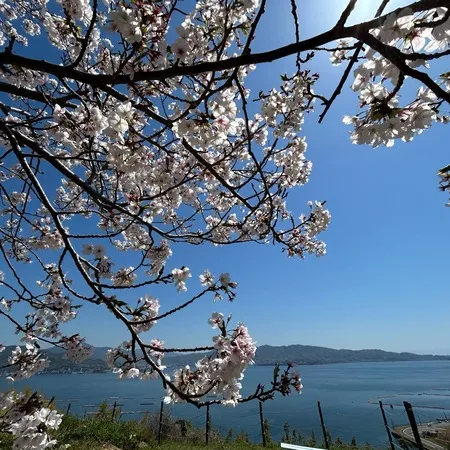 桜と海がとてもいいです。
