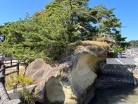 塩竈から船に乗って松島へ到着しました🛳🌊