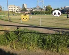 とても広い公園で長いローラー滑り台...