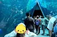 水族館の中でも、学習など学びに重き...