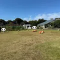 祝日10時着、駐車場はほぼ満車でした🈵