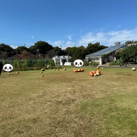 祝日10時着、駐車場はほぼ満車でした🈵