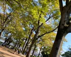 秋の涼しい気候で子どもと遊ぶのにち...