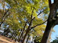 秋の涼しい気候で子どもと遊ぶのにち...