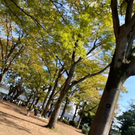 秋の涼しい気候で子どもと遊ぶのにち...
