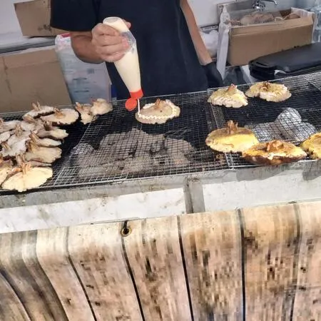 【楽天食いしんぼう祭】へ。