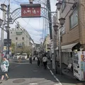 シラス丼のお店もたくさんありました...