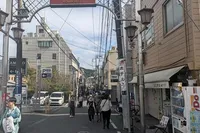 シラス丼のお店もたくさんありました...