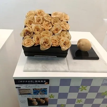 館内はあまり広くありませんが、お菓...