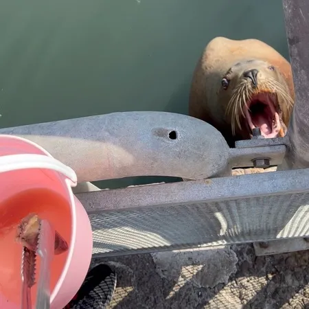 ⭐︎ショーやえさやりが楽しめる水族館⭐︎