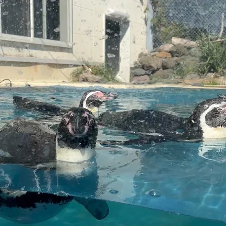 ⭐︎ショーやえさやりが楽しめる水族館⭐︎