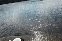 初めて訪問しました。