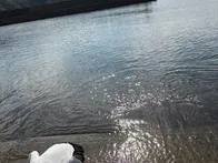 初めて訪問しました。