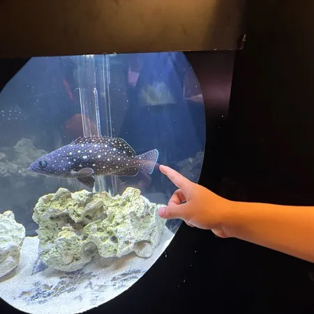 深海生物に興味をもち訪れました。