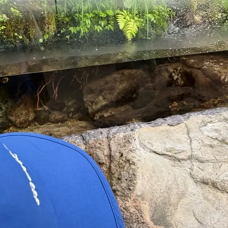 深海生物に興味をもち訪れました。