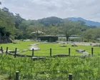 名物まっくろおでんいただきました！...