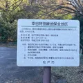 アスレチック少しだけあります！こう...