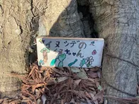 アスレチック少しだけあります！こう...