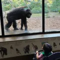 しっかり歩いたり走ることが2歳にな...