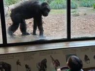 しっかり歩いたり走ることが2歳にな...