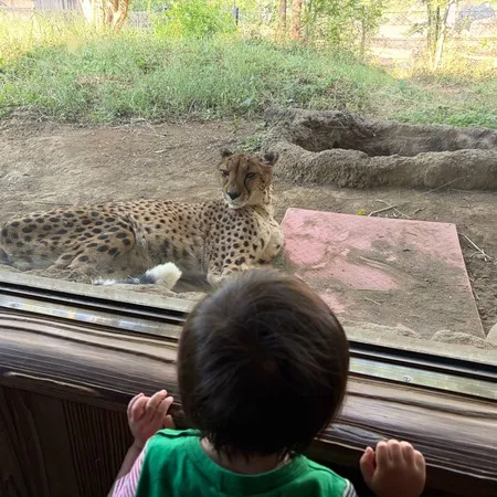 しっかり歩いたり走ることが2歳にな...