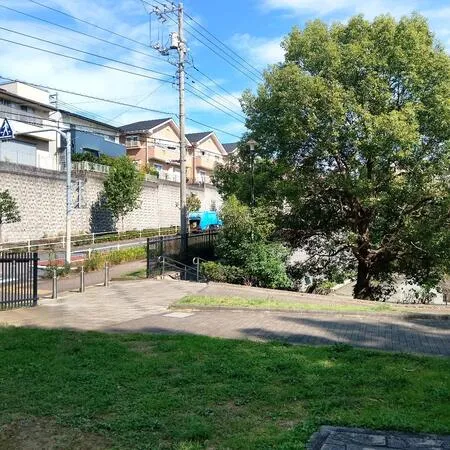 広いので走り回れます。夕方は小学生...
