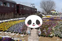 安曇野ちひろ公園