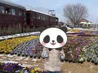 安曇野ちひろ美術館の隣にはトットち...
