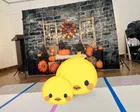 ハイハイレースがあり、参加してきま...