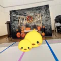 ハイハイレースがあり、参加してきま...