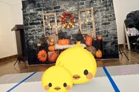 ハイハイレースがあり、参加してきま...