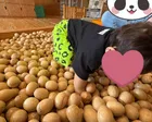 道の駅 パレットピアおおの