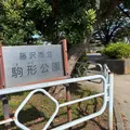 広くて静かな公園🛝かるがも食堂へ行...