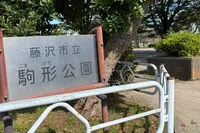 広くて静かな公園🛝かるがも食堂へ行...