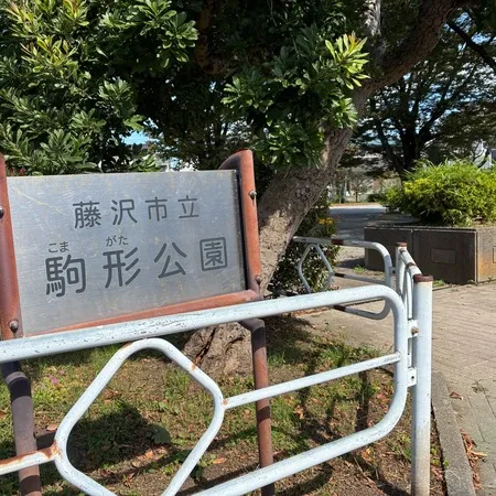 広くて静かな公園🛝かるがも食堂へ行...
