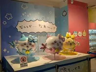土曜日の午後にきました。