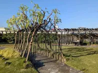7階から階段を登って庭園に行きます。