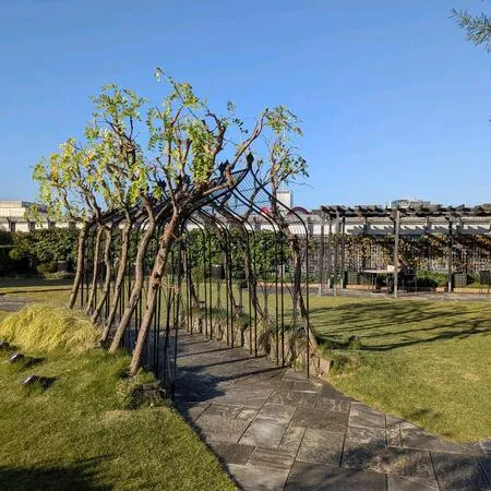 7階から階段を登って庭園に行きます。